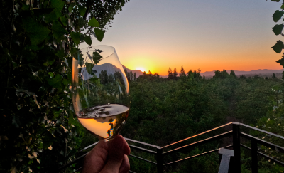 Cuando es el día del vino en Chile